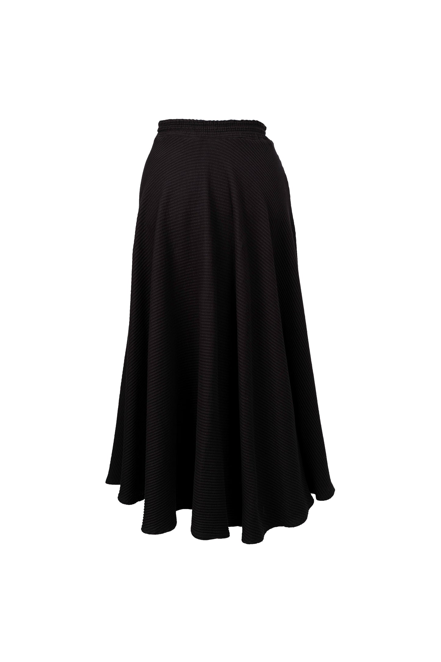 Elastic Waist Circle Skirt